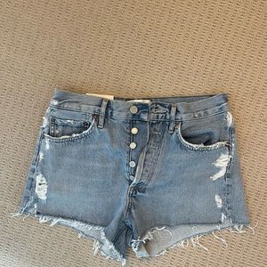 Agolde Parker Vintage Cut Off Short